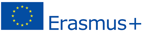 Erasmus + Traineeship